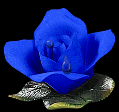 BONNE JOURNEE A TOUS