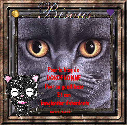 CADEAU POUR DOKDEKONNE DE CHEZ BLOGUEZ.COM