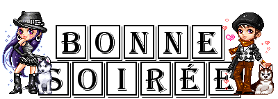 BONSOIR MES AMI(E)S