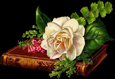 .....LIVRES D'OR...CADEAUX POUR VOUS TOUS