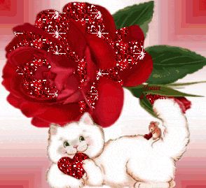 SIGNIFICATIONS DES COULEURS DE LA ROSE