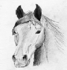 SIGNEZ LA PETITION....MERCI