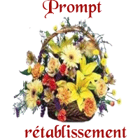 ARTICLE A LIRE POUR TOUS