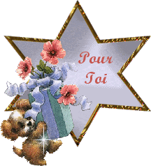 TOUTES LES FEMMES SONT BELLES