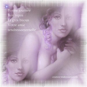 ESPECE DE SALE VOLEUR DE CREATIONS