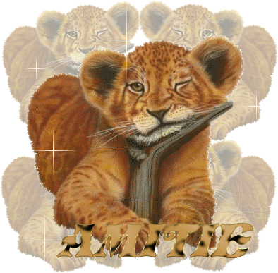 BRRRRRRRRRRR!!!!!!!!!!!!!!