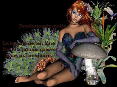 MAGNIFIQUE CADEAU DE SIRENE