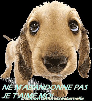 .UN BRIN DE TENDRESSE